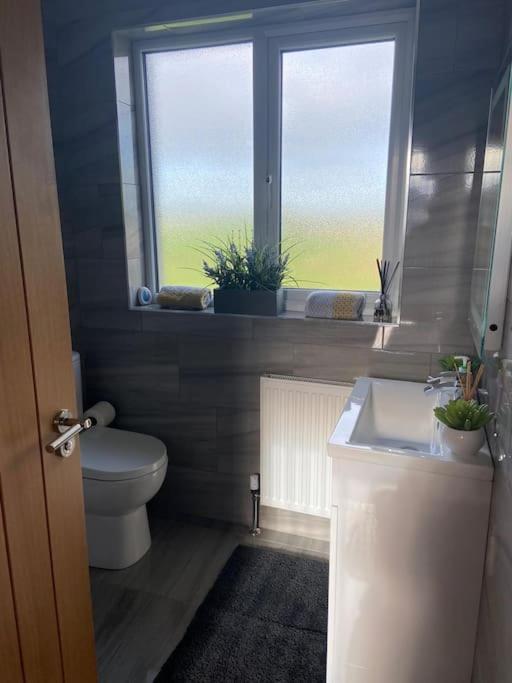Appartement 'Little Acre' Perfect For Business Or Pleasure à Portadown Extérieur photo